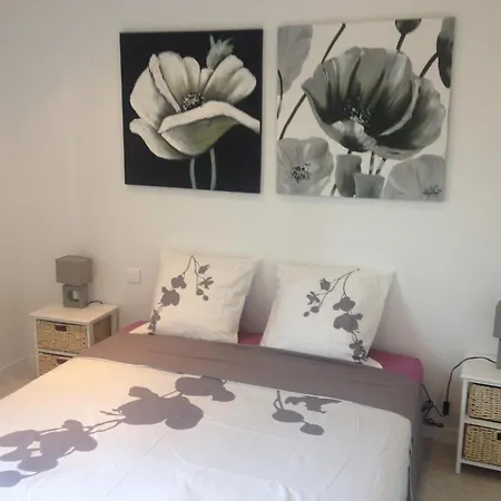 Appartement Location Corsica *