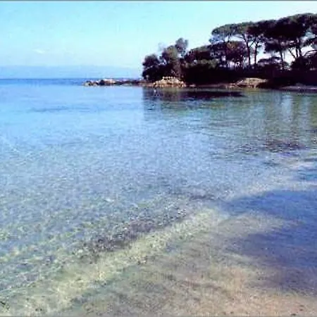 Location Corsica Apartamento Ajaccio (Corsica)