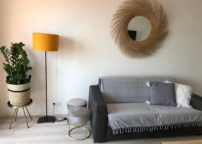 Location Corsica * אז'אקסיו